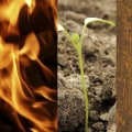 3 Essential Elements for Successful Change
